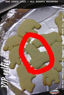 Look at my surgar cookies I made.